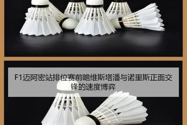 F1迈阿密站排位赛前瞻维斯塔潘与诺里斯正面交锋的速度博弈